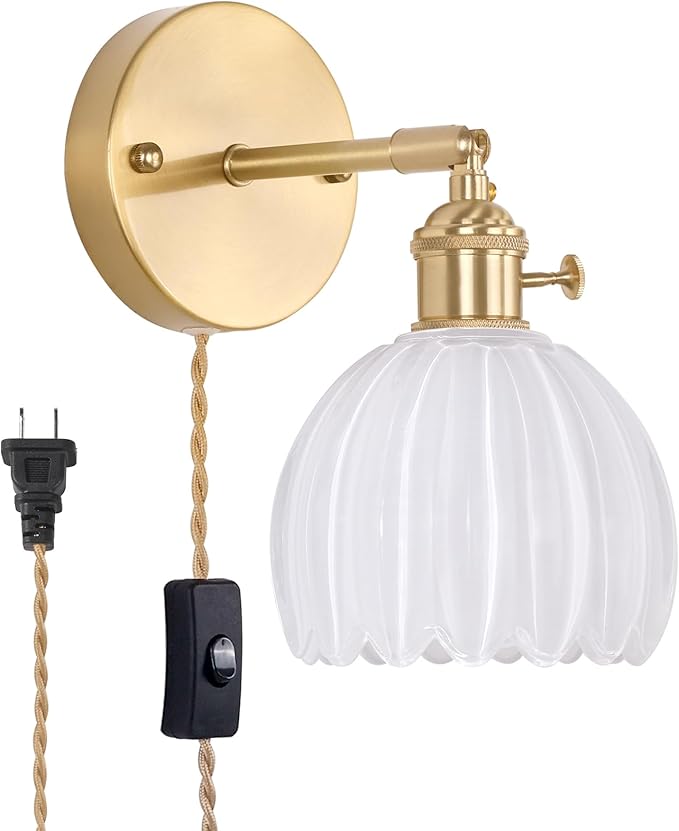 Shenmoyl Plug in Wall Sconce