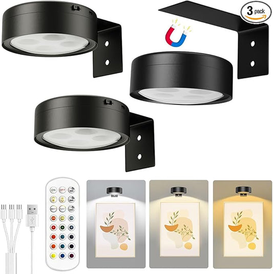 Xuolder Picture Lights for Wall, 2000mAh Rechargeable Battery Poster Lights LED