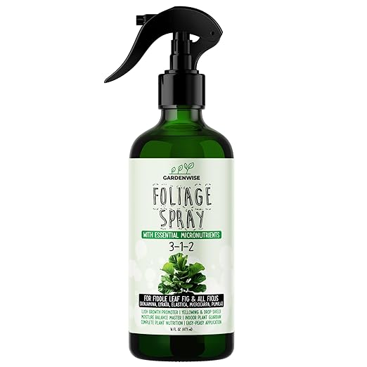 3-1-2 Fiddle Leaf Fig Foliar Spray - Plant Shine & Fertilizer - Premium Spray for Indoor Plants with Essential Nutrients - Fiddle Leaf Fig Plant Food & Fertilizer - Ready-to-Use (16 OZ)