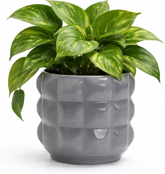 Ceramic Planter Pot with Drainage Hole, 4.5 Inch Dia, Indoor and Outdoor, Home Patio Garden, Plants Flower Succulent, 3D Patterned Round (Gray)
