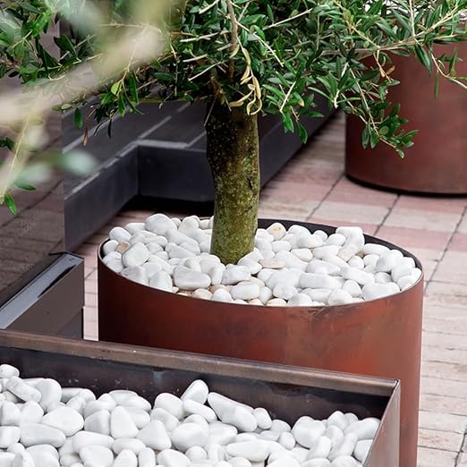 YISZM 40lbs White River Rocks for Landscaping, 1-2 Inch Natural Pebbles for Indoor Plants, High Polished Decorative Stones Garden Outdoor and Indoor DIY Vase Filler Fish Tank Aquariums