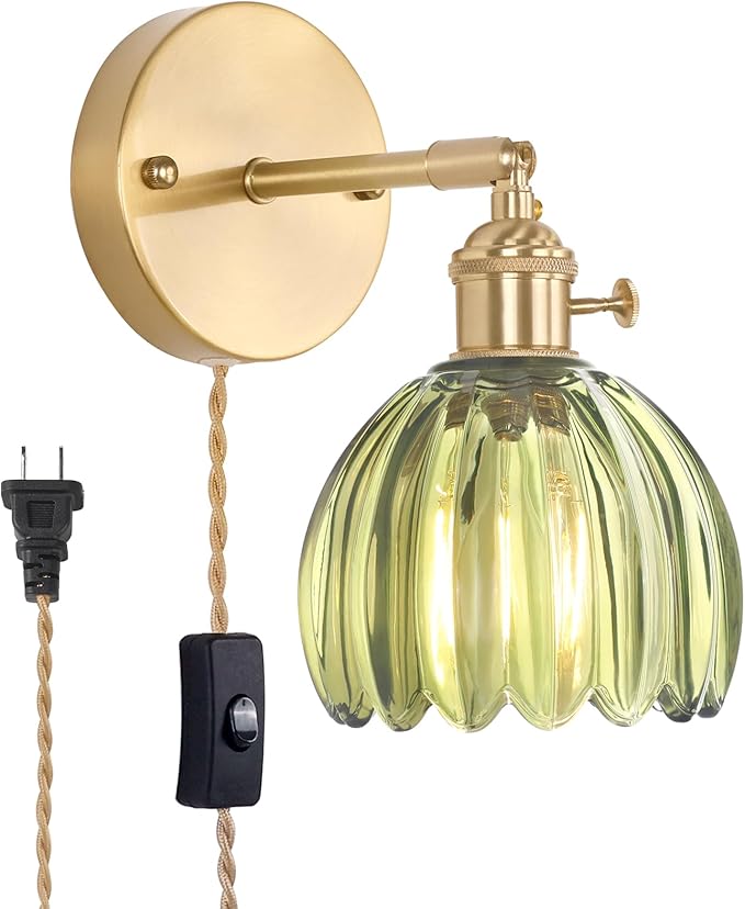 Shenmoyl Plug in Wall Sconce