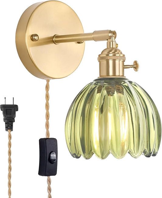 Shenmoyl Plug in Wall Sconce