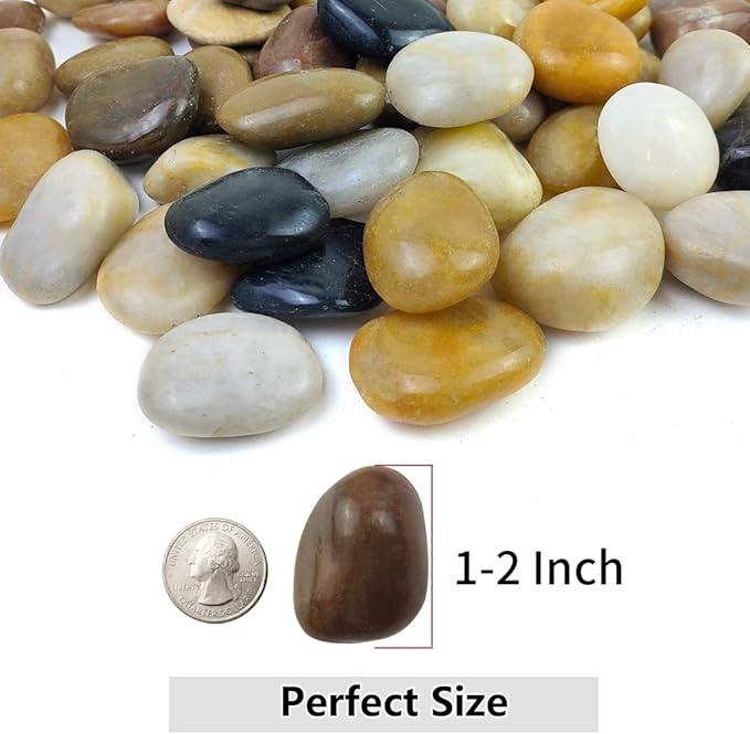 YISZM 2lbs Pebbles for Indoor Plants, 1-2 Inch Mixed Color High Polished River Rocks Outdoor Decorative Stones Vase Filler Fish Tank Aquariums Landscaping Garden Outdoor and Indoor DIY