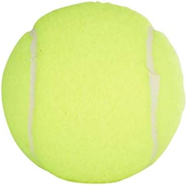 Penn Championship Tennis Balls - Extra Duty Felt, Pressurized | 15 Cans, 45 Balls Total