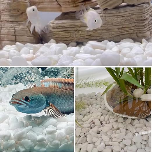 YISZM 20lb White River Rocks for Landscaping, 5/8 Inch Natural Pebbles for Indoor Plants, Snow White Decorative Stones, Ideal for Fish Tank, Vases, Crafting, Home Decor and Garden Rocks