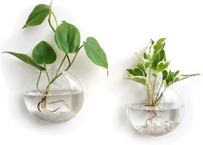 Mkono Wall Hanging Glass Terrariums Planter Oblate Flower Vase