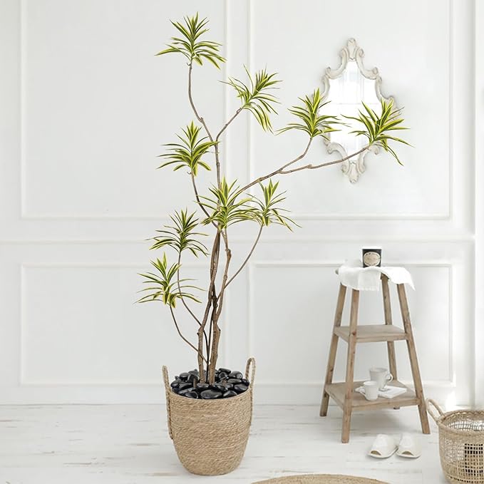 FANTIAN 10 Pounds Natural Black Pebbles Rocks for Plants– 2-3 Inch Ornamental Black River Rocks for Garden Landscaping Home Décor Yard Paving Fountain and Outdoor Decorative Black Stones
