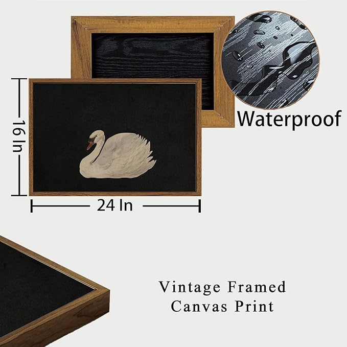 OIQArtOIQ Vintage Framed Wall Art Moody Grace Swan Canvas Art Prints Rustic