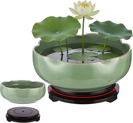 Ceramic Lotus Bowl Planter with Wood Tray, 7.8 in Green Water Lily Planter Pot, Hole Free Hydroponic Bowl, Ice Crack Glaze Flower Bowl for Lotus, Aquatic Plants, Bonsai, Desk Decor