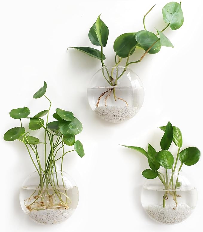 Mkono Wall Hanging Planter Propagation Station Glass Flower Vase