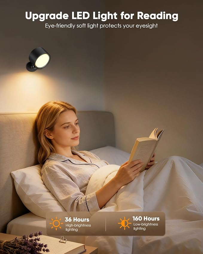 LED Wall Mounted Lights 2 Pcs