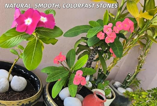 9lb White River Rocks for Plants, 1-3 Inch Pebbles for Indoor Plants, Polished Garden Rocks Outdoor Landscaping, Decorative Stones for Vases, Succulents, Aquarium, Walkways