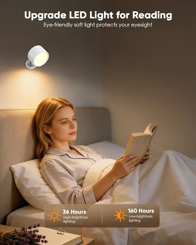 LED Wall Mounted Lights 2 Pcs