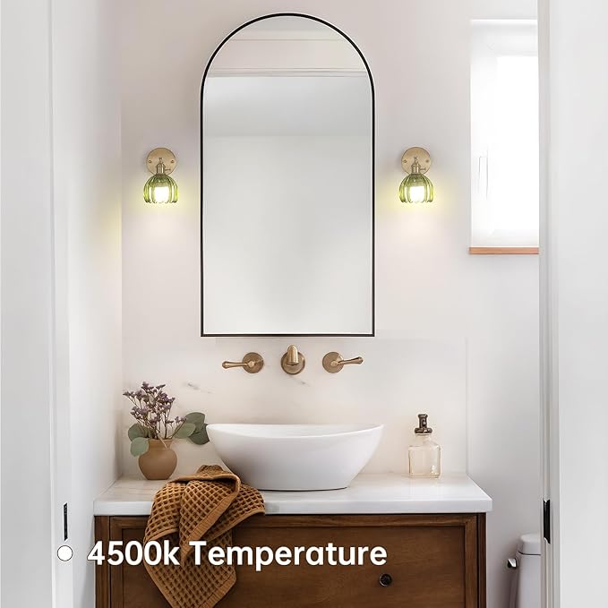 Shenmoyl Vintage Battery Operated Wall Sconce