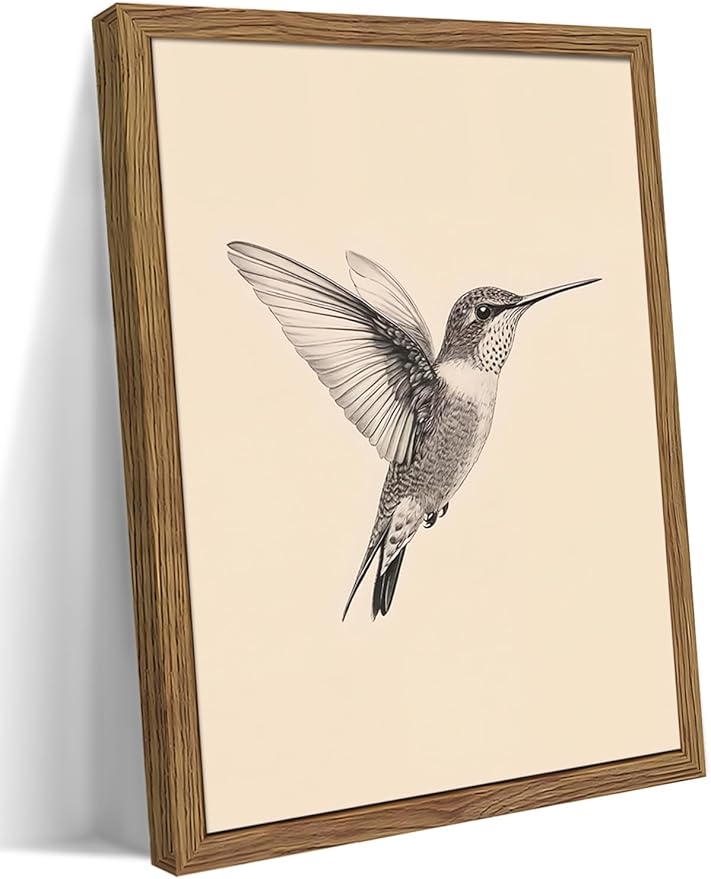 Vintage Framed Wall Art, Birds Canvas Prints, Hummingbird Sketch Painting
