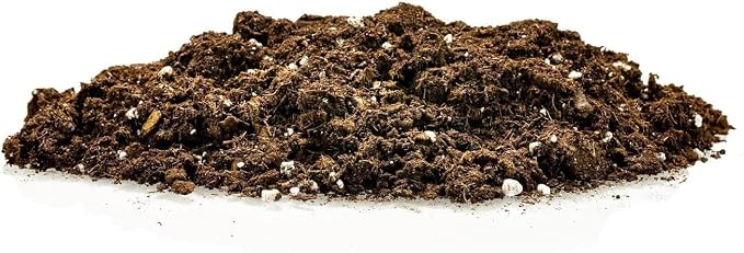 GARDENERA Premium Dracaena Potting Soil Mix - (3 Quart Bag)