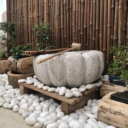 YISZM 5lbs White River Rocks, 2-3 Inch Natural Pebbles for Indoor Plants, High Polished Decorative Stones Vase Filler Fish Tank Aquariums Landscaping Garden Outdoor and Indoor DIY