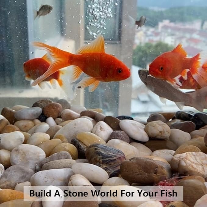 YISZM River Rocks for Landscaping, Natural Polished Pebbles for Indoor Plants, Small Decorative White Stones for Vase Fish Tank Aquariums Landscaping Garden, 20lbs