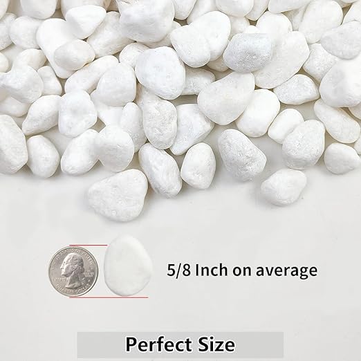 YISZM 10lb White River Rocks, 5/8 Inch Natural Pebbles for Indoor Plants, Snow White Decorative Stones, Ideal for Fish Tank, Vases, Crafting, Home Decor and Garden Landscaping Rocks