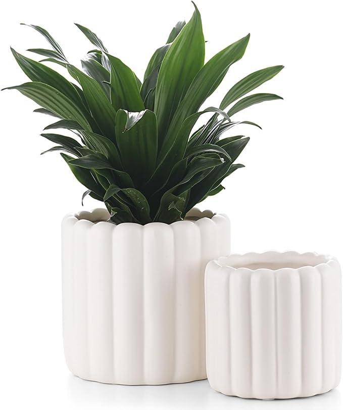 Ceramic Plant Pots,6 inch+4.7 Inch Planter Pot with Drainage Holes,Ceramic Planters for Indoor Plants,Modern Flower Pots for Indoor Outdoor Plants House & Office DÃ©cor,Cream White