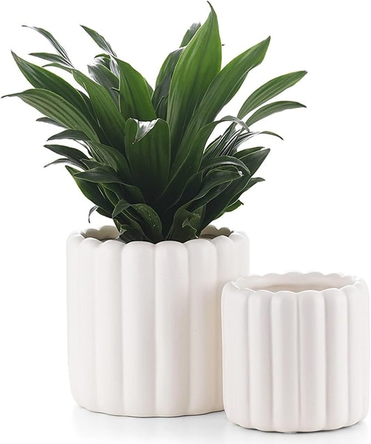 Ceramic Plant Pots,6 inch+4.7 Inch Planter Pot with Drainage Holes,Ceramic Planters for Indoor Plants,Modern Flower Pots for Indoor Outdoor Plants House & Office DÃ©cor,Cream White