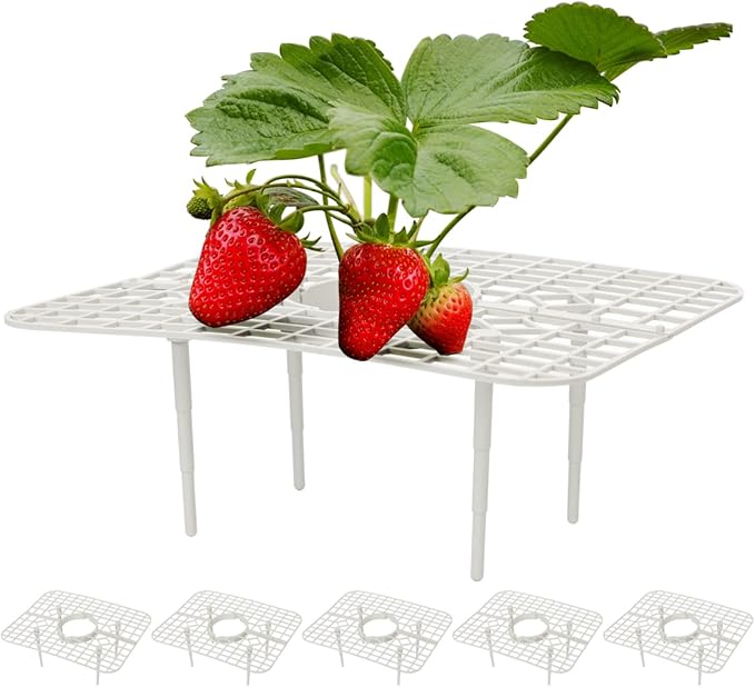 IUIBMI 5 Pack Strawberry Supports Strawberry Growing Frame Strawberry Growing Kit Strawberry Plant Support Strawberry Growing Racks with 4 Sturdy Legs, Protecting Strawberry from Mold, Rot and Dirt