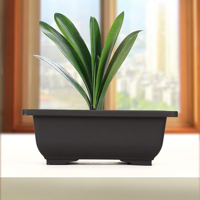 KINJOEK 15 PCS 6.5 Inch Plant Pot, Rectangular Plastic Bonsai Training Pots with 15 Humidity Trays, Flower Succulent Pots Container Bonsai Tree Planters for Garden, Indoor, Home Decorative