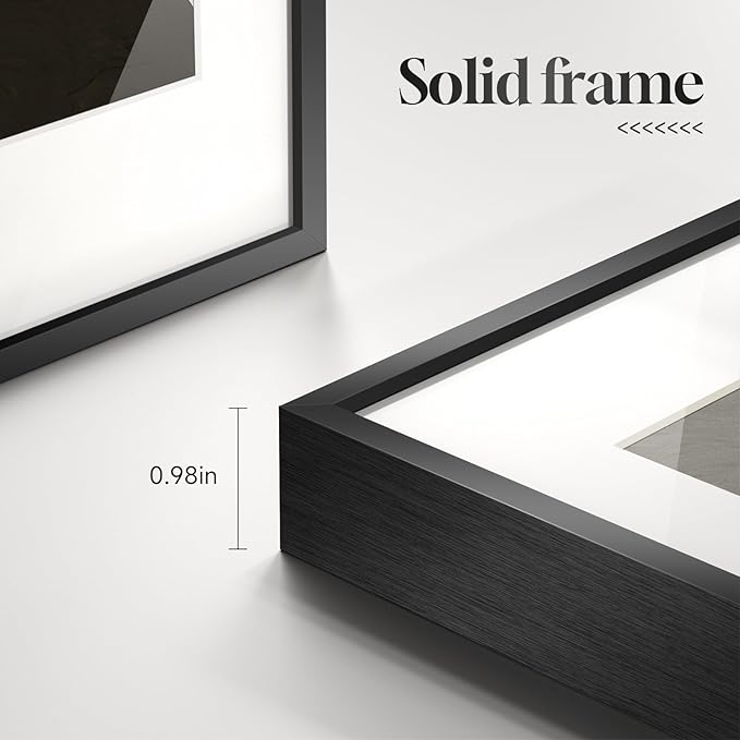 Framed Black and White Abstract Wall Art