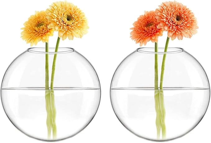 Mkono Wall Hanging Planter Propagation Station Glass Flower Vase