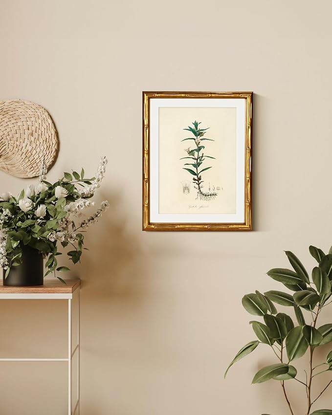 InSimSea Gold Bamboo Framed Canvas Wall Art, Vintage Kitchen Herbs Paintings