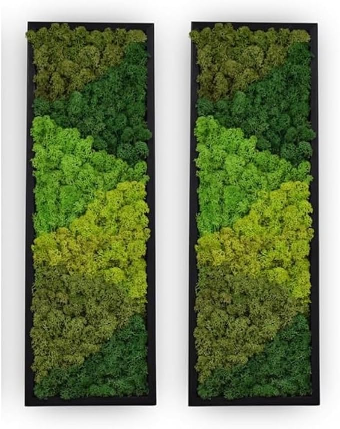 yersiz Large Moss Pattern Wall Art, Real Moss Wall Art