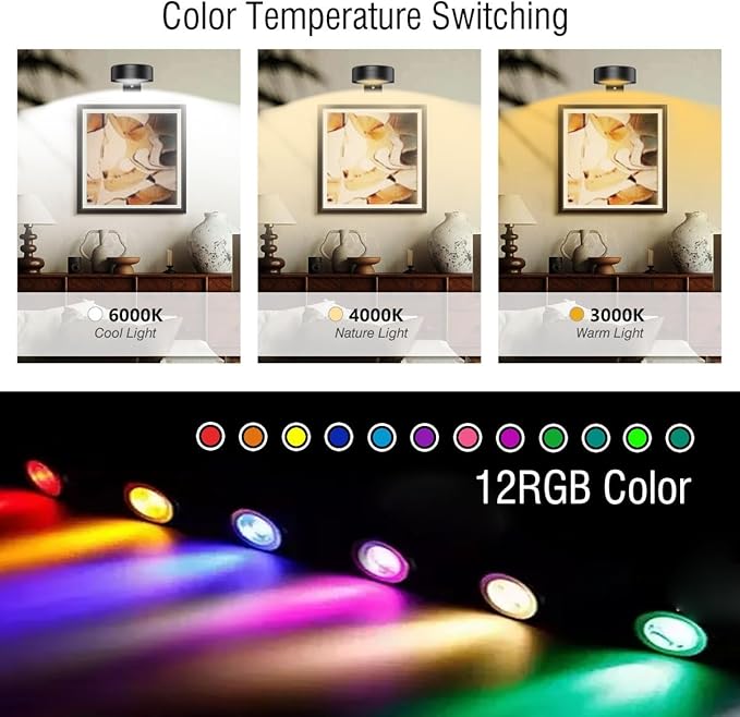 Xuolder Picture Lights for Wall, 2000mAh Rechargeable Battery Poster Lights LED