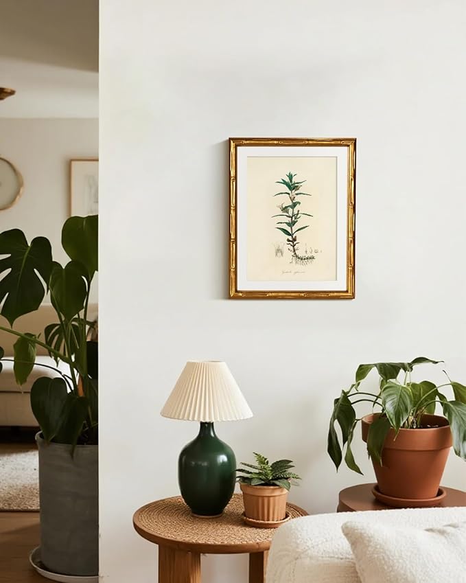 InSimSea Gold Bamboo Framed Canvas Wall Art, Vintage Kitchen Herbs Paintings