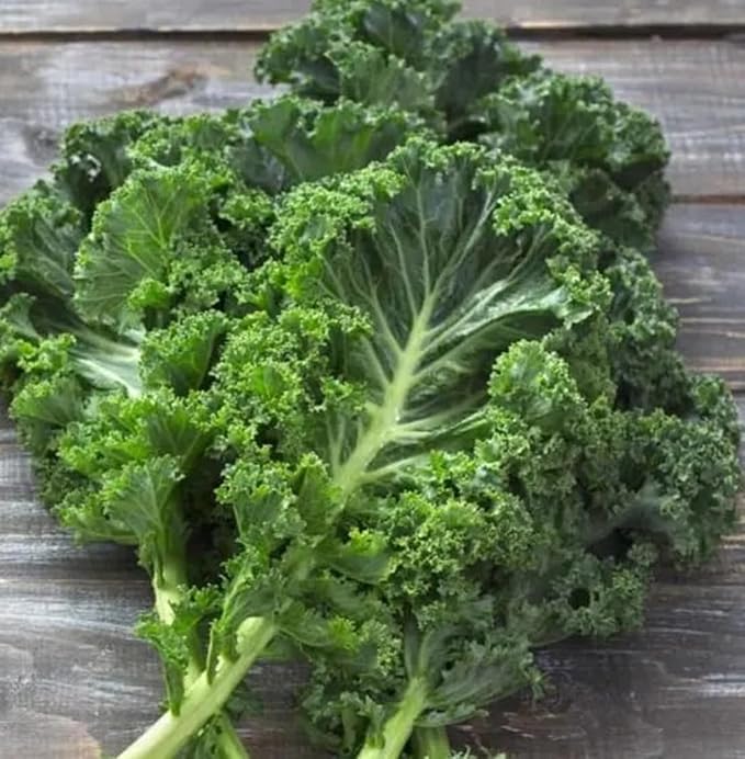 White Russian Kale Seeds for Planting â Plant & Grow Heirloom White Russian Kale in Home Outdoor Vegetable Garden, Brassica Napus â 1 Packet Approx 200 Seeds