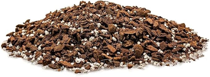 GARDENERA Monstera Borsigiana Soil Blend - Specially Designed for Unique Plant Needs - 4 Quart