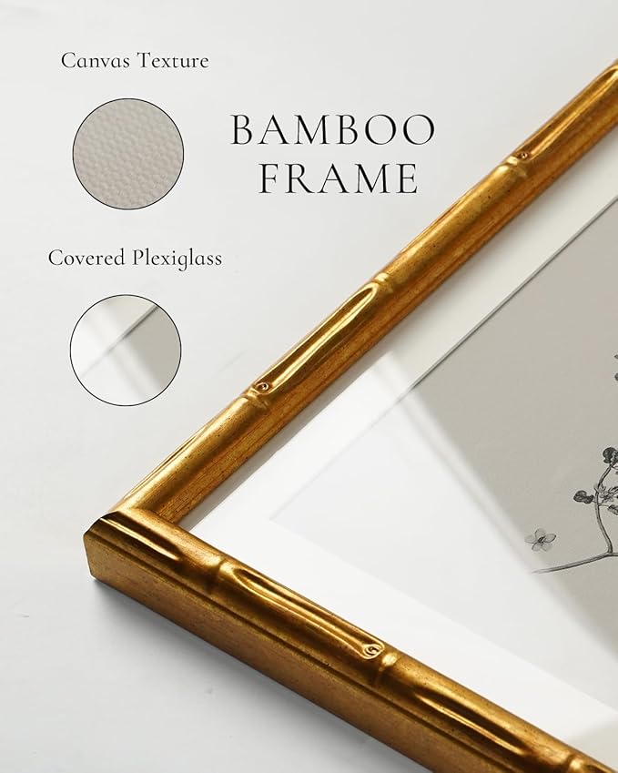 InSimSea Gold Bamboo Framed Canvas Wall Art, Vintage Olives Botanical Prints