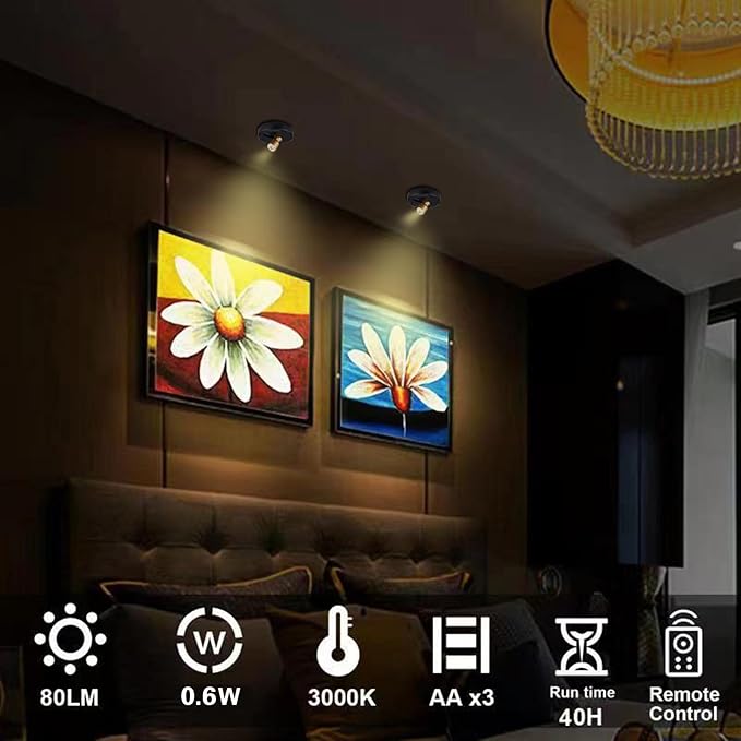 HAMVIDNE Wireless LED Spotlight, Battery Powered Picture Lights, Uplighting