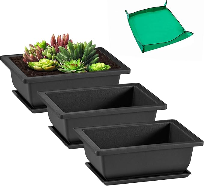 GROWNEER Bonsai Training Pots with Drainage Trays 3 Packs 6.5 Inch, Durable Bonsai Tree Starter Set Kits with Repotting Mat Small Indoor Outdoor Growing Pot Rectangle Planter, Built in Mesh