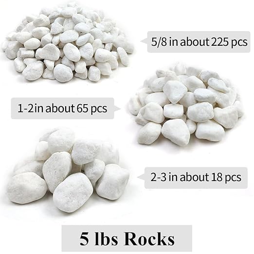 YISZM 10lb White River Rocks, 2-3 Inch Natural Pebbles for Indoor Plants, Snow White Decorative Stones, Ideal for Fish Tank, Vases, Crafting, Home Decor and Garden Landscaping Rocks