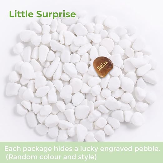 SIDONG 5 LB White River Rocks, 0.3-0.5 Inches Pebbles for Indoor Plants, Aquarium Rocks Used in Fish Tank, Decorative Stones for Plants, Vases, Home Décor, Crafting, Garden Landscaping