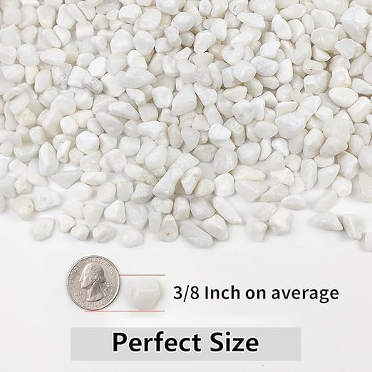 YISZM 2LB Succulent and Cactus Gravel Pebbles, 3/8 Inch Natural Decorative Polished Stones, River Rocks for Plants, Vases, Aquariums, Terrarium and Outdoor Gardening, White