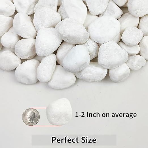YISZM 40lbs White River Rocks for Landscaping, 1-2 Inch Natural Pebbles for Indoor Plants, High Polished Decorative Stones Garden Outdoor and Indoor DIY Vase Filler Fish Tank Aquariums