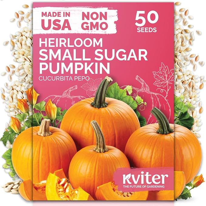 KVITER 50 Sugar Pumpkin Seeds (Cucurbita Pepo) â Small Pumpkin Heirloom Seed, Sweet Fine-Grained Flesh for Canning & Pies â Vegetable Seeds for Planting in Outdoor Garden