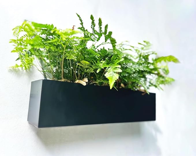 LaLaGreen Wall Planters for Outdoor Carbon Steel Black Metal Hanging Flower Pot