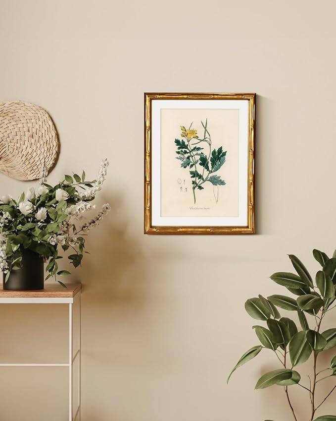 InSimSea Gold Bamboo Framed Canvas Wall Art, Kitchen Herbs Botanical Paintings