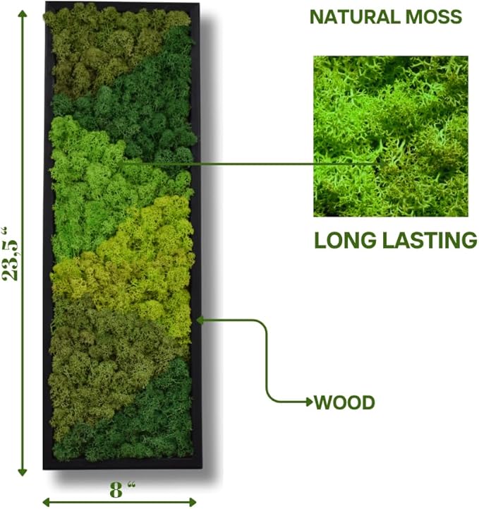 yersiz Large Moss Pattern Wall Art, Real Moss Wall Art