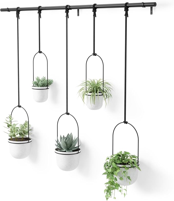 Umbra Triflora Hanging Planter for Window, Indoor Herb Garden
