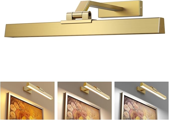 Afyuol Picture Lights for Wall, Brushed Gold Battery Operated Picture Light