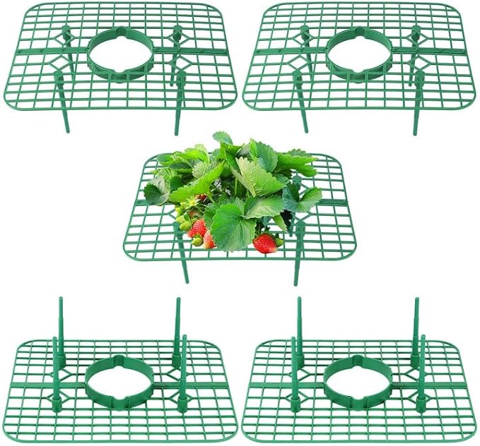 5 Pack Strawberry Plant Support Square Strawberry Supports for Garden Green Holder Plastic Stand with 4 Sturdy Legs Risers Growing Racks Frame
